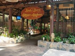 -卷心菜和避孕套餐厅(Pattaya)