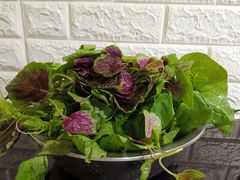 -黔府豆米火锅野菜馆(南马店)