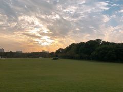 -昆山城市生态森林公园