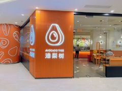 -油梨树 AVOCADO TREE(亮马桥店)