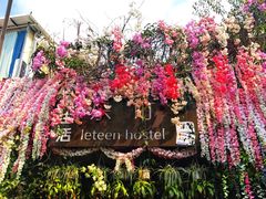 -八婆婆烧仙草(曾厝垵店)