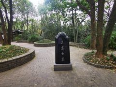 -上海佘山国家森林公园天马山园