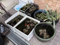 -通天阁