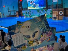 -石家庄极地海洋世界