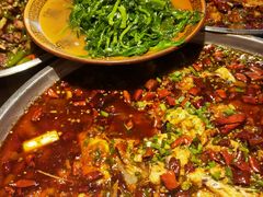 -正宗来凤鱼璧山兔(花卉园店)