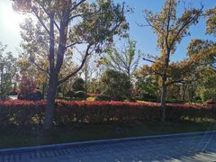 -狼山风景名胜区