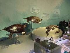 -中国湿地博物馆