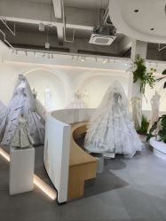 -桃子造型婚纱礼服(凤起广场店)