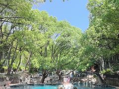 -东明山森林公园