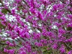 -天台山赤城山景区