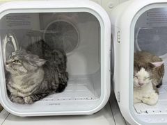 -Oh My Dog宠物沙龙(伊珊娜皮毛护理店)