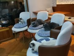 -Line 咖啡(石厦花园店)