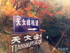 -天女山森林公园