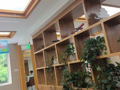 -诺贝川口腔(春都路旗舰店)