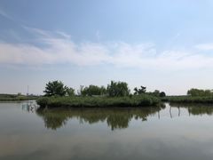 -西青郊野公园