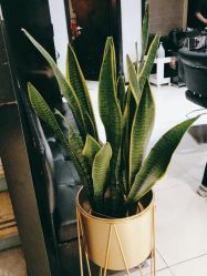 -LJOY丽锦造型·烫发染发