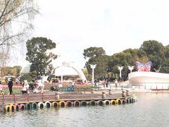 -上海鲜花港