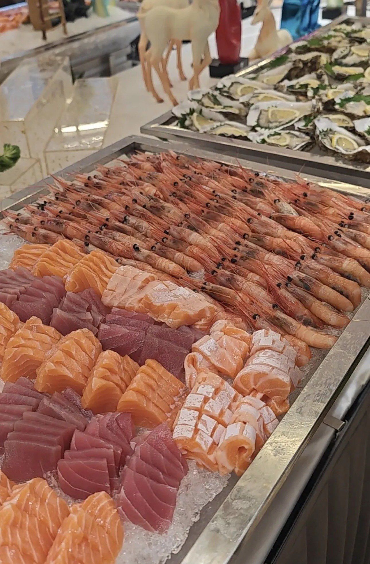 老虎滩号邮轮自助