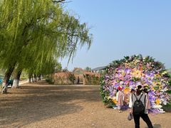 -祥源·阜阳生态乐园