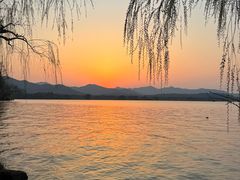 -浙江西子宾馆·牡丹厅