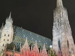 -斯蒂芬主教座堂(Stephansdom)
