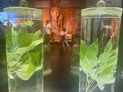 -广东中医药博物馆
