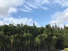 -上海市龙华烈士陵园