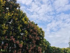 -常德桃花源景区