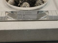 -青藏高原自然博物馆