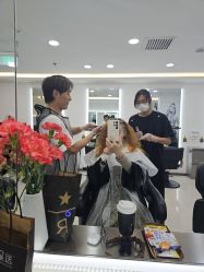 -HaLo hair studio