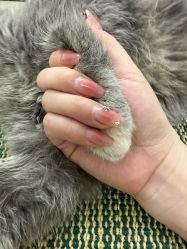 -十月·日式美甲美睫·纹眉