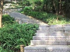 -火炉山森林公园