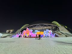 -沈阳奥体冰雪嘉年华