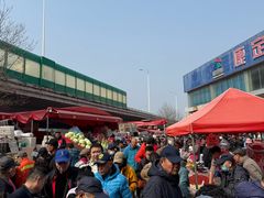 -青岛市本溪路农贸市场