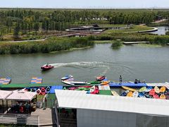 -春花秋色城市公园