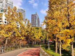 -北外滩滨江绿地