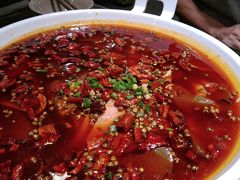 -庆合府重庆大排档(紫都城店)