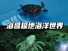 -海合安成都极地海洋公园