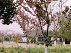 -太阳岛度假酒店