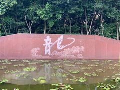 -上海市龙华烈士陵园