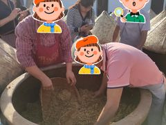 -苏州市吴中区光福窑上花果蜜饯厂