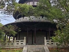 -八大山人梅湖景区