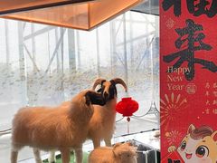 -百草滩羊清水涮羊肉·清真·宁夏盐池滩羊(莲花桥店)