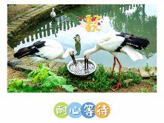 -上方山森林动物世界