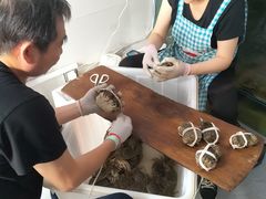 -阳澄湖大闸蟹·琼灵阁牌品牌连锁(吴中总店)