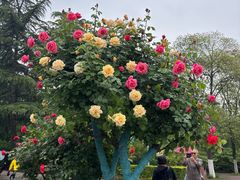 -宝鸡植物园