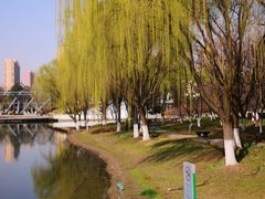 -白塘生态植物园