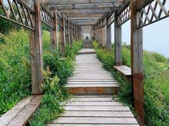 -白草畔自然风景区