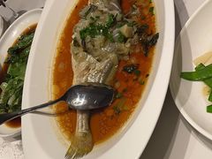 -老绍兴养和饭店(向阳不夜城店)