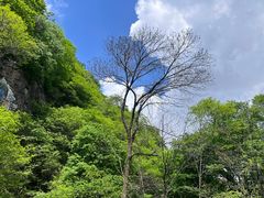 -香炉山国家森林公园